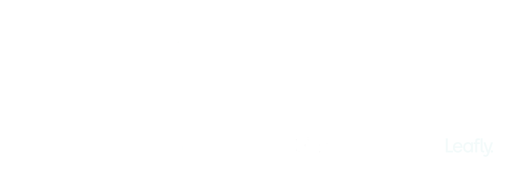 platforms: amazon, ebay, shopify, aliexpress, wish, dhgate.com, etsy, leafly.