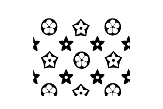 Trademark SN:97119579